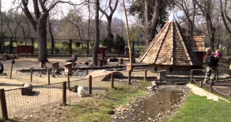 Margitsziget Zoo