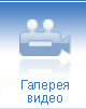 Video gallery