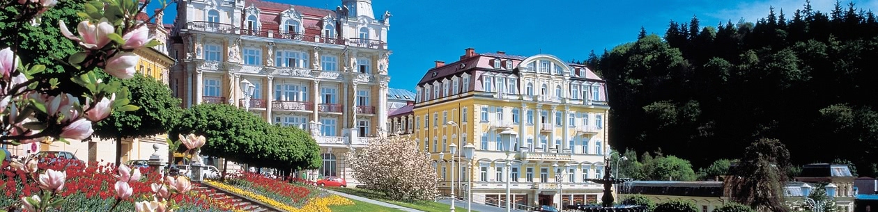 Danubius Health Spa Resort Hvězda