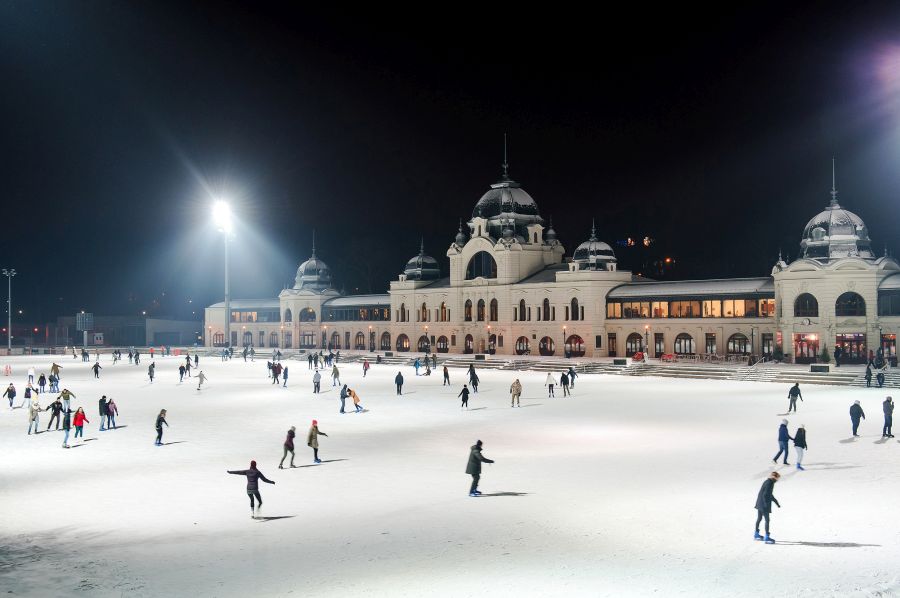 kaupunginpuiston jäähalli