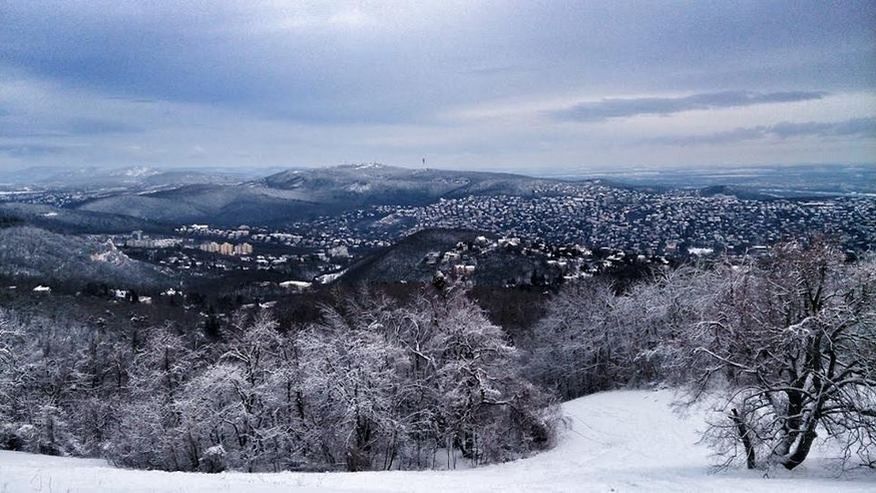 Normafa avec de la neige