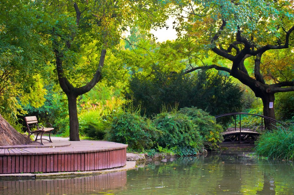 Japanese Garden on the Margaret Island