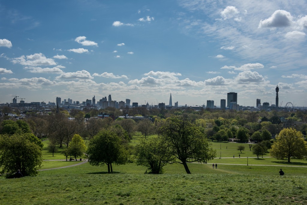 Primrose Hill