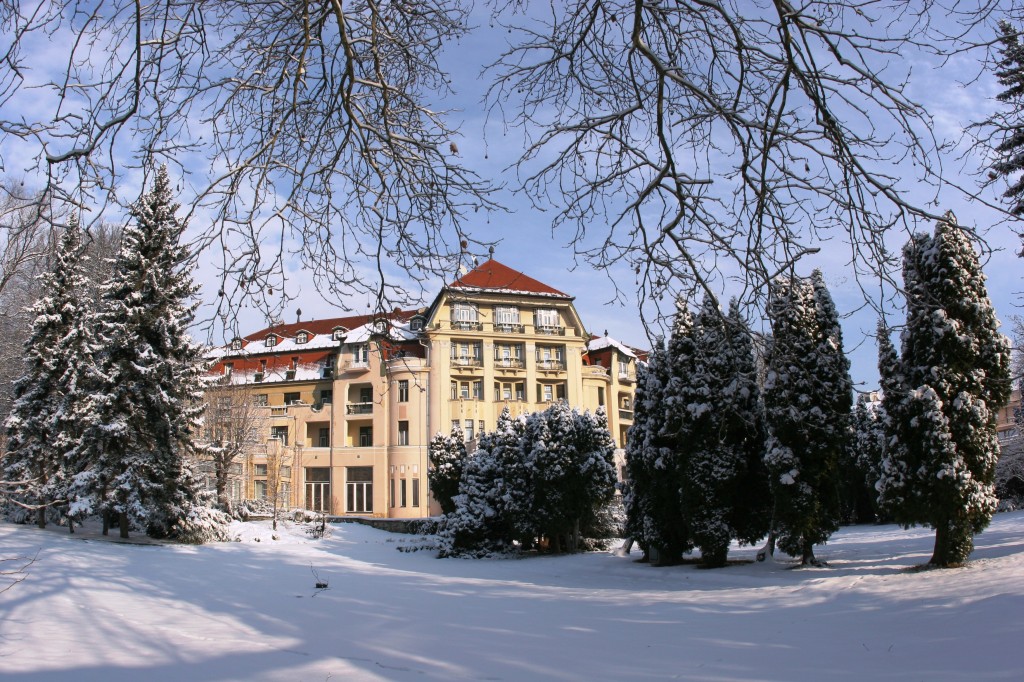 Thermia Palace-winter_postyen