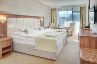 Premium Plus Room (Wing Esplanade)