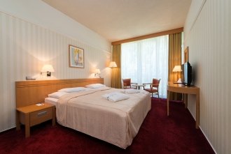 Standard Double Room (wing Palace)