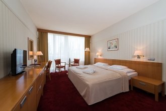 Superior Double Room (wing Palace)