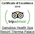 Certificate of Excellence 2016