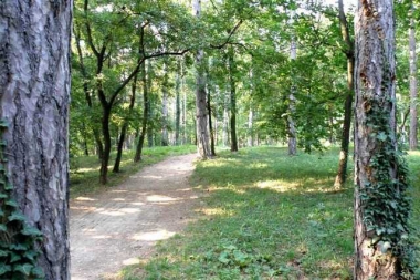 Kiserdő Park