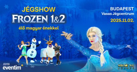 Frozen Ice Show
