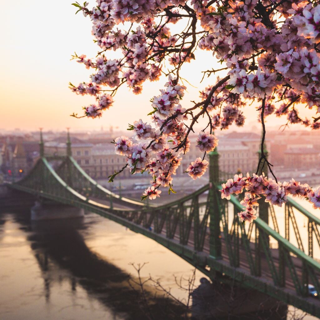 Scopra Budapest in primavera