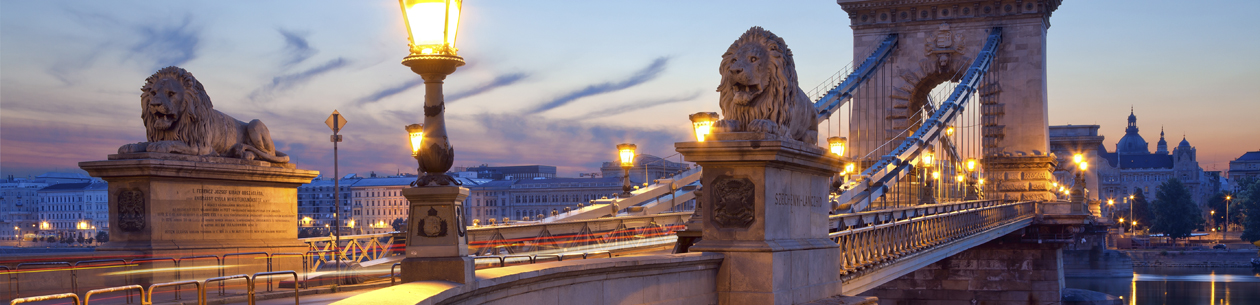 Budapest Winter Invitation - Choix les plus brûlants de l'hiver