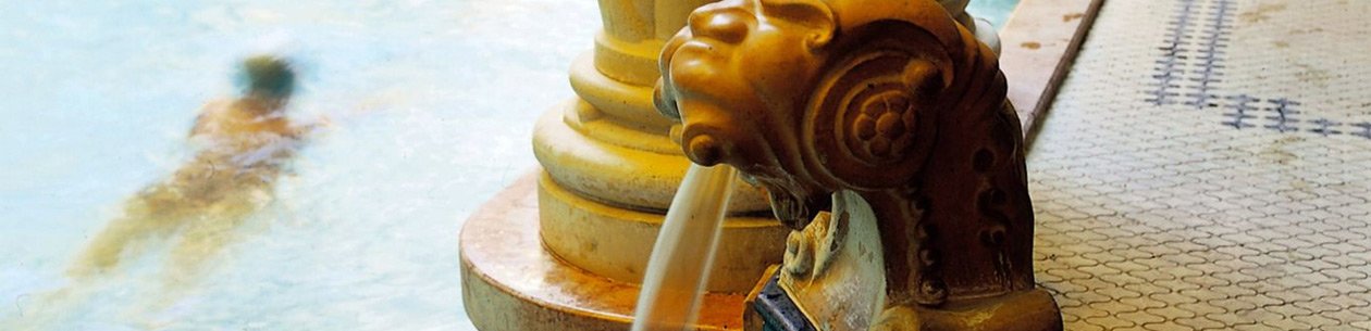 Spa Hotels in Ungarn