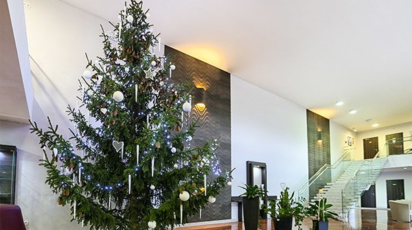 Xmas on Spa Island 5 nights